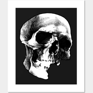 Skull Posters and Art